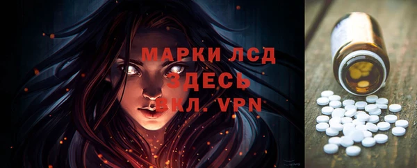 spice Дмитриев