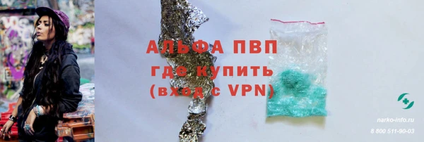 spice Дмитриев