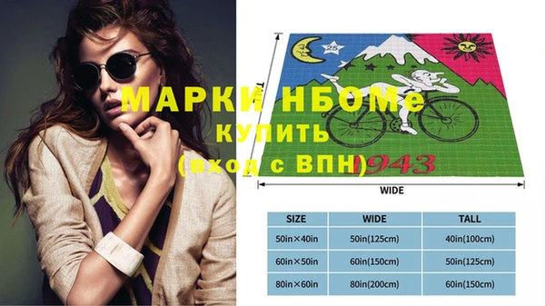 ГАЛЛЮЦИНОГЕННЫЕ ГРИБЫ Гусь-Хрустальный