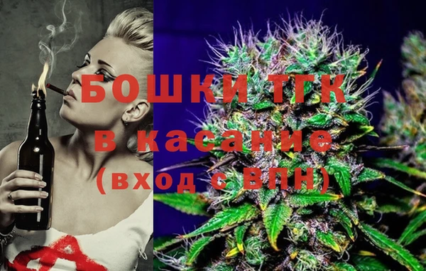 spice Дмитриев