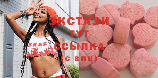spice Дмитриев