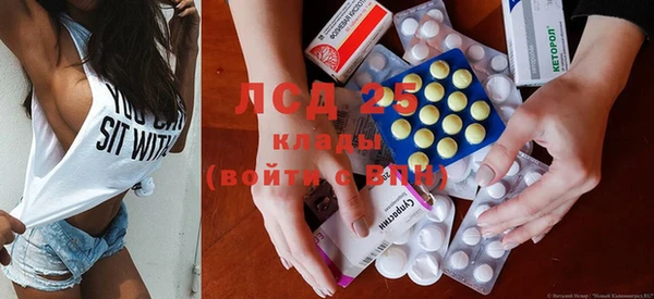 spice Дмитриев