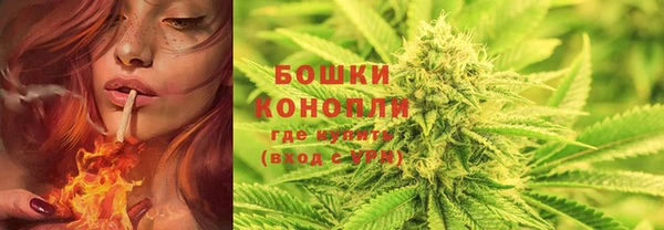 прущая мука Гусиноозёрск