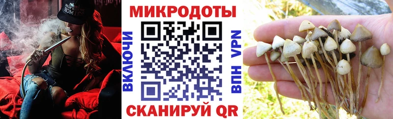 магазин наркотиков Буинск Галлюциногенные грибы Psilocybine cubensis