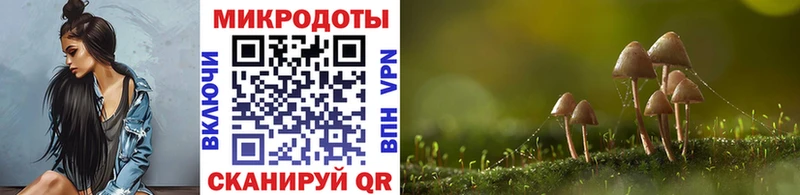Галлюциногенные грибы ЛСД Буинск