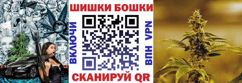 Канабис сатива  Буинск 